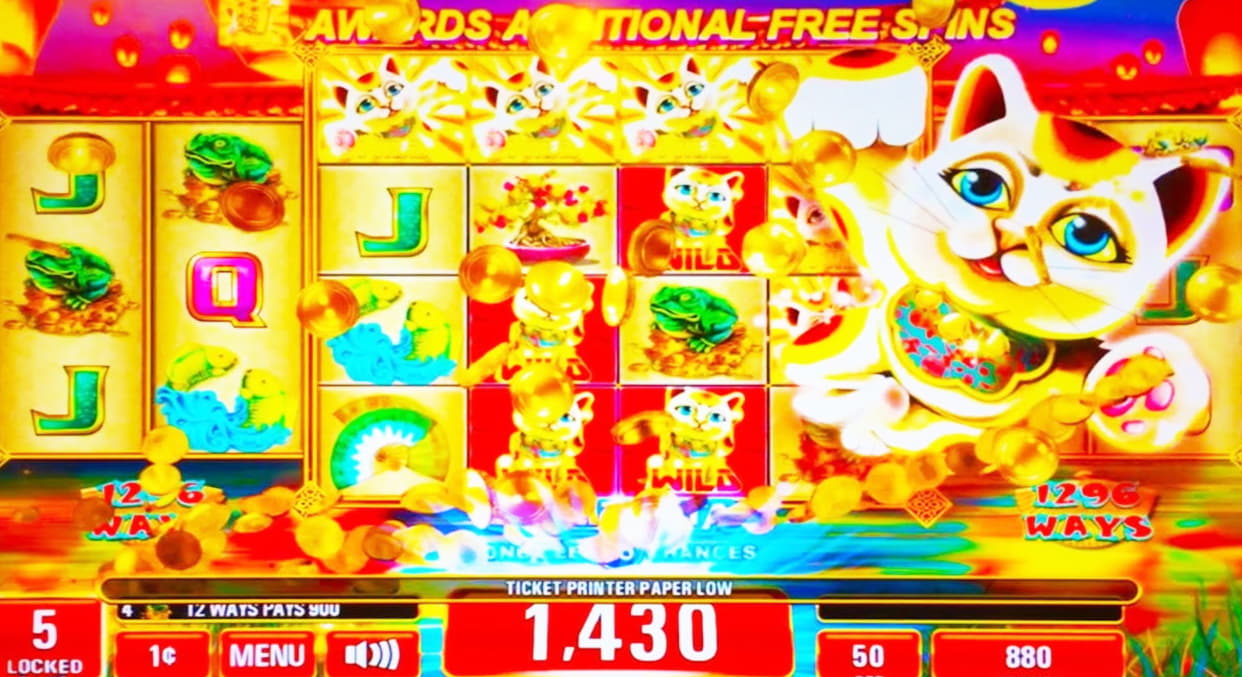870% Ei sääntöjä -bonus! Casino Cruisella